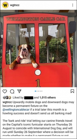Salah satu postingan akun Instagram Wellington Council