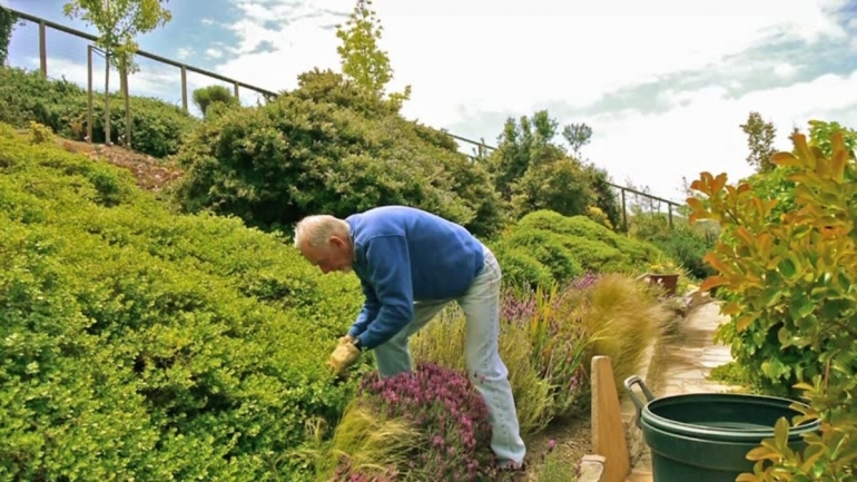 Ilustrasi mengisi pensiun dengan berkebun | Sumber: Shutterstock
