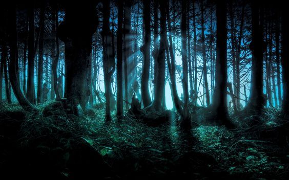 Nero tak nampak dan hutan di depan nampak tak ramah | sumber gambar: Pinterest/Imgur 