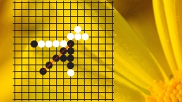 Permainan Gomoku yang dimenangkan oleh pemain biji hitam. Desain oleh Rini DST, menggunakan Canva. 