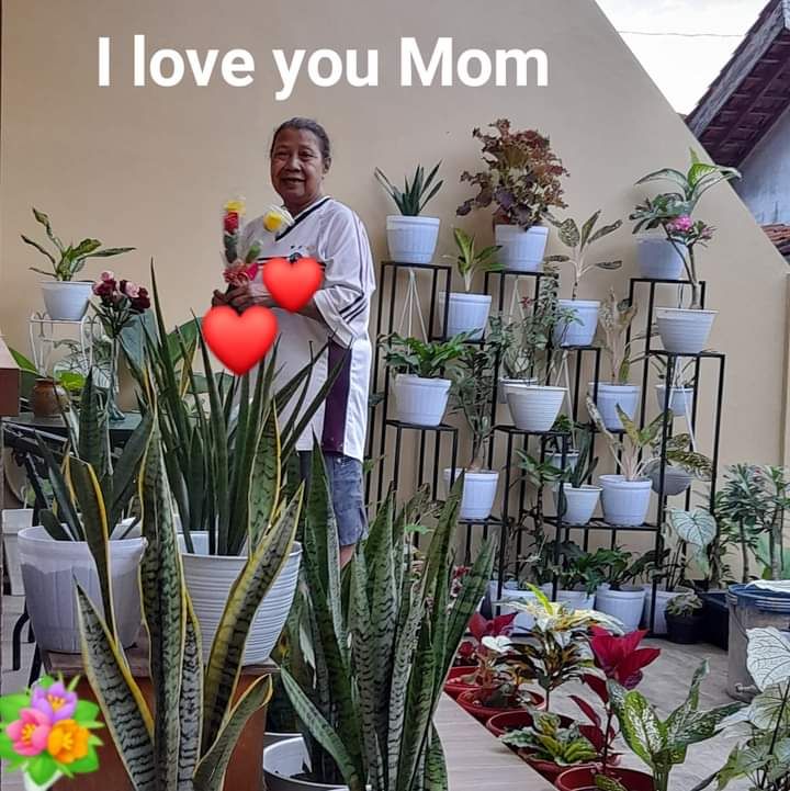 Dokpri. Ibu dengan koleksi tanamannya