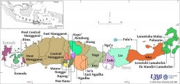 Keragaman bahasa di masing-masing wilayah di Pulau Flores: https://vici.marianklamer.org/linguistic-maps.html