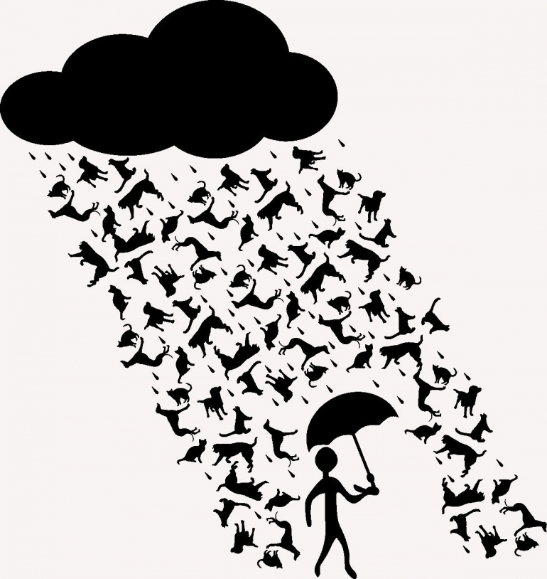 Rain cats and dogs (Sumber: Pixabay)