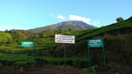 Titik awal pendakian gunung Dempo jalur Kampung IV (Dokumentasi Pribadi)