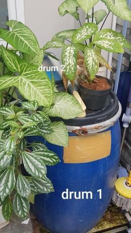 Sistem filter kolam, terdiri dari drum 1 dan drum 2 (Foto : dokpri MomAbel)