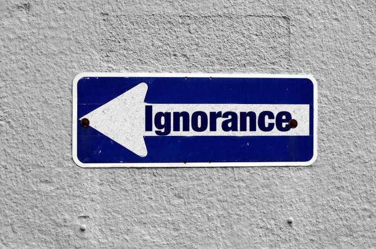 Pengakuan akan ketidaktahuan merupakan pembuka gerbang menuju pengetahuan | Ilustrasi oleh Gerd Altmann via Pixabay