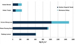 Gambar 2. Perbandingan simpanan karbon di ekosistem karbon biru dengan ekosistem hutan daratan (Pendleton dkk. 2012).