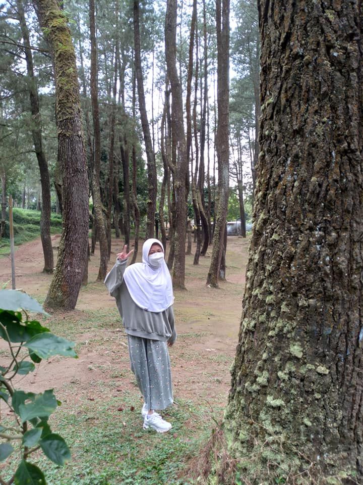 Konon, Siapa Pun yang Menantang Penjaga Hutan Palutungan Tak Pernah Kembali