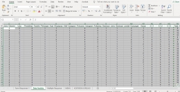 Data Responden Pada Excel (dokpri)