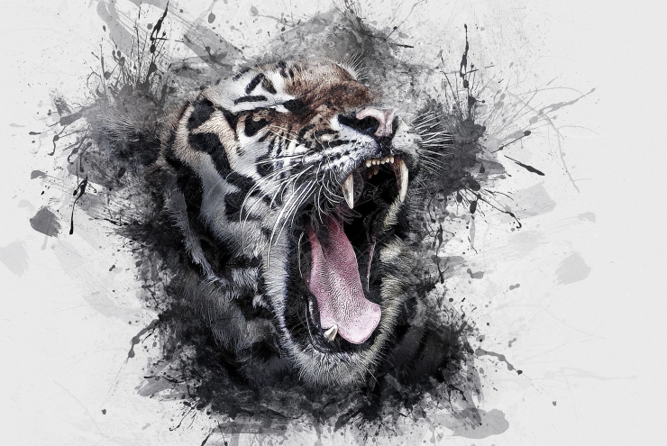 Ilustrasi lukisan kepala harimau. (Gambar: ArtTower Via Pixabay)