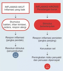 Jenis-jenis Peradangan (Inflamasi) Halaman 1 - Kompasiana.com