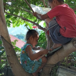 Putriku, Deogratia Quinozha Dhiru sedang membaca di atas pohon kersen. Foto: Ermelinda Sato