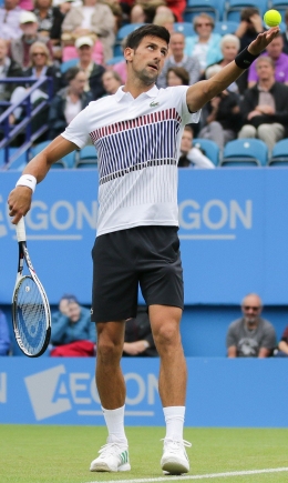 Novak Djokovic(Serbia). en.wikipedia.org
