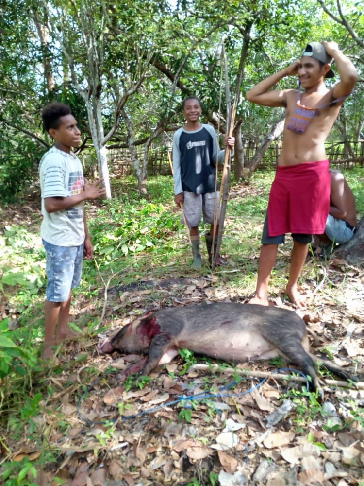 Anak Marind berburu babi di Kampung Mimi Baru, Distrik Jagebob (Dokpri)