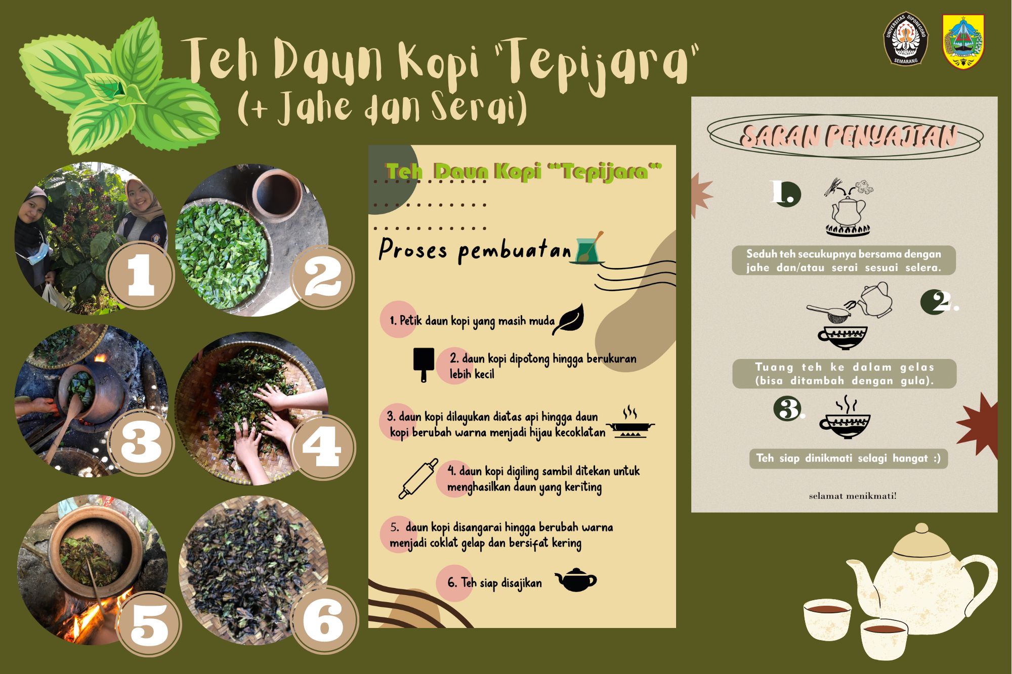 Perkuat Sistem Imun! Berinovasi Dalam Pembuatan Teh Dari Daun Kopi ...