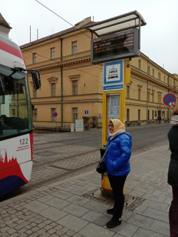 Trem, salah satu transportasi umum di Olomouc / Dokpri