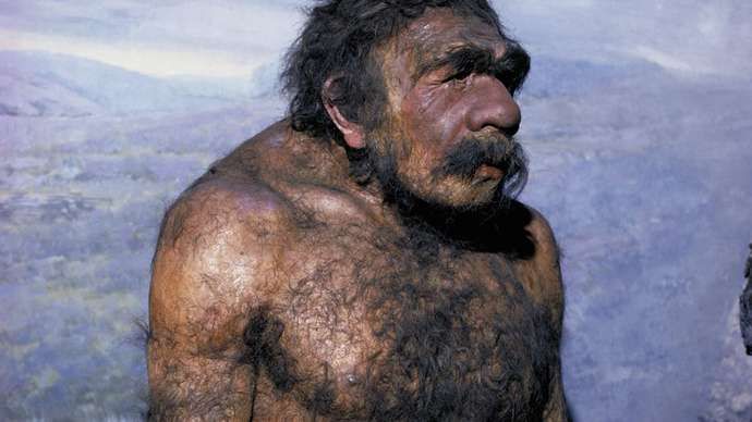 Rekayasa wajah spesies neanderthal jantan (sumber: Tom McHugh---The Field Museum, Chicago/Photo Researchers) 