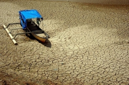 Akibat musim kemarau panjang, sejumlah sungai dan lahan pertanian di Gowa mengalami kekeringan.(FOTO: ANTARA FOTO/ABRIAWAN ABHE via KOMPAS.com) 