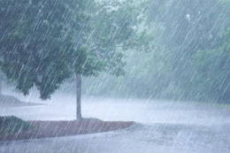 Ilustrasi Puisi : Ketika Hujan Pada Kemarau. Sumber : Kompas