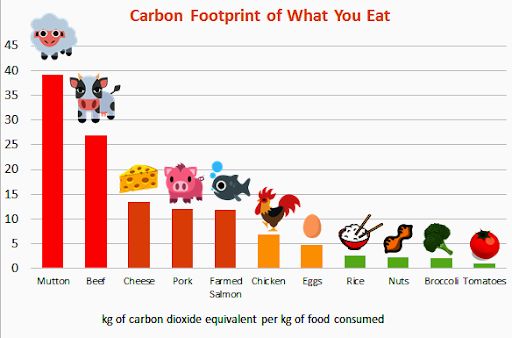 jejak karbon dalaam menu makanan kita | gambar diunduh dari wanaswara.com