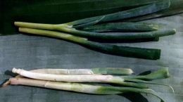 Perbandingan bawang daun segar baru (atas) dan bawang daun 2 minggu disimpan di kulkas dalam bungkus daun pisang segar (bawah) (Dokpri) 