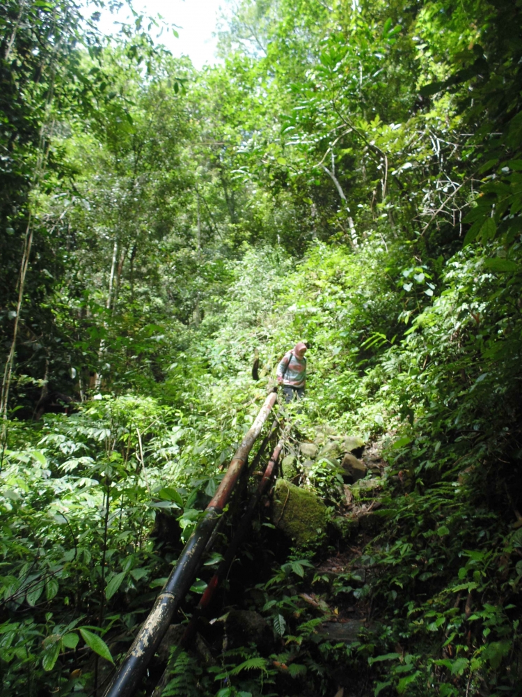 Hiking ke Air Terjun Batu Kuho/Foto dokpri