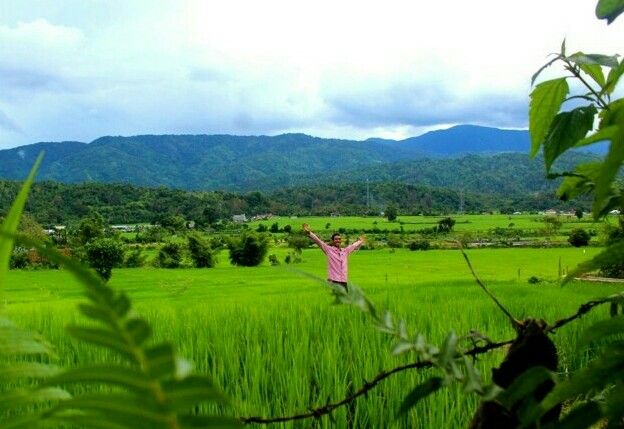 Hamparan Sawah di Tangse, menuju Aceh Barat, Meulaboh via Geumpang.dok.M.Fadhil.2020