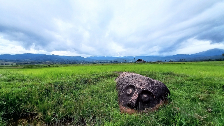 Arca Tantaduo di tengah persawahan Lembah Bada Sulawesi Tengah, dipercaya sebagai patung kerbau (@Hanom Bashari)  