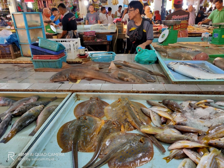 Jual ikan hiu hingga ikan pari. | Dokumentasi Pribadi