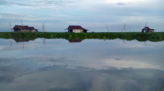 Sebagian rumah apung yang berada di tengah-tengah Danau Tempe. (@Hanom Bashari) 