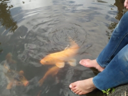 rekreasi di kolam ikan retreat center Sukamakmur (Dok. Pribadi)