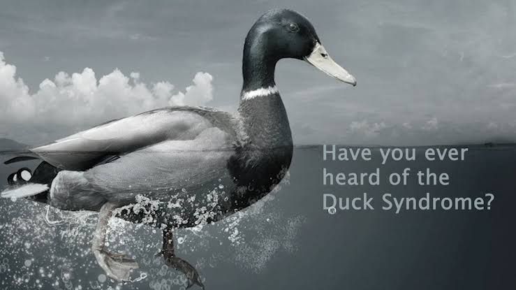 Ilustrasi duck syndrome | sumber: vimeo.com