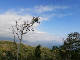 Pemandangan kota Ende dari View jalur jalan Rajawawo ke Maunggora | Dokumen pribadi oleh Ino