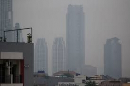 sumber : reuters.com (Tampak Tanaman di Atas Atap Tumbuh di Tengah Kabut Polusi yang Tebal)