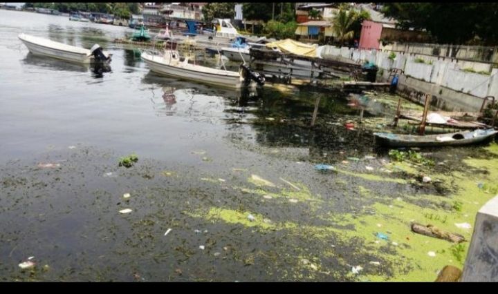Sampah di danau. Sumber gambar : sumut.inews.id