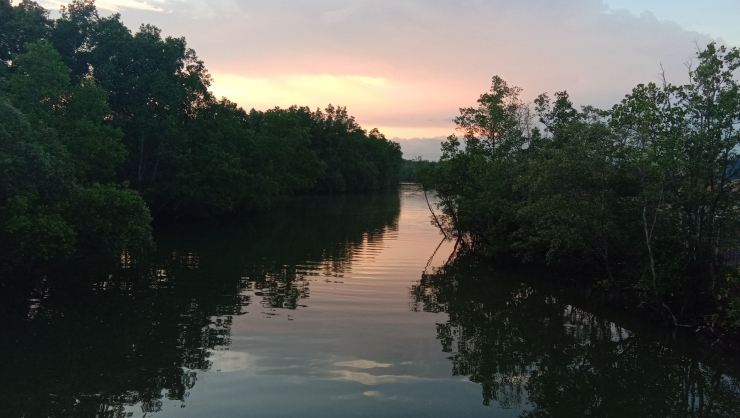 Puisi Pada Suatu Senja yang Meresahkan / Sungai Alam Baru Balikpapan - Dokpri @ams99
