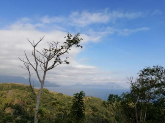 Pemandangan kota Ende dari View jalur jalan Rajawawo ke Maunggora | Dokumen pribadi Kompasianer Ino