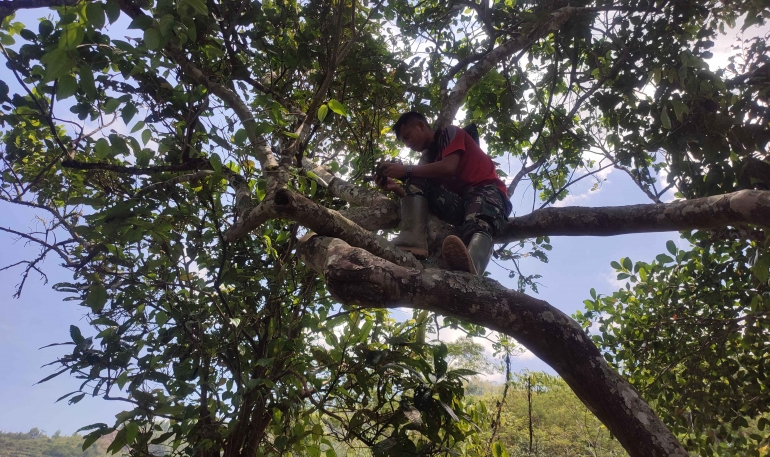 Prada Herbin dari Yon Armed-4/Cimahi sedang Vidio call diatas pohon/dokpri