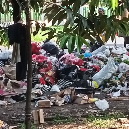 Gunungan sampah bertumpuk-tumpuk di tepi jalan raya (dokumen pribadi)