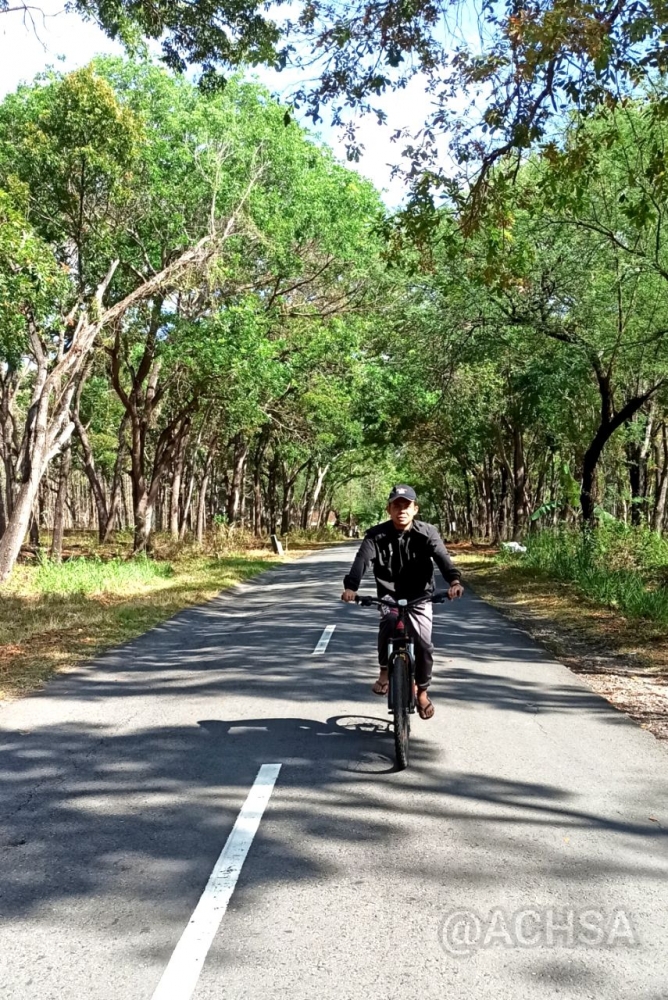 (bersepeda di jalur alternatif Ponorogo - Magetan via hutan jati Sampung)