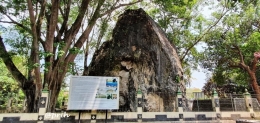 Cagar Alam Bukit Gamping dan penjelasan sejarah (Dokumen Pribadi)