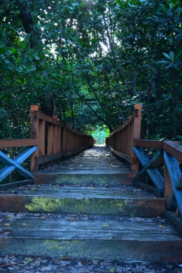 Terbengkalai, Wisata Hutan Mangrove desa TATAKALAI, Banggai Kepulauan, Sulawesi Tengah (Dokpri)