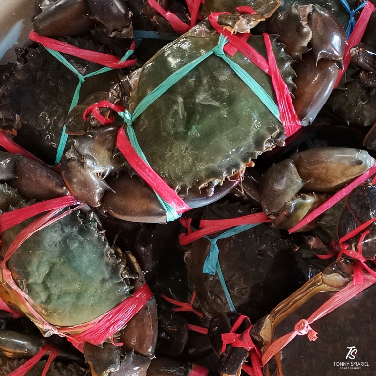 Kepiting di Pasar Ikan Grosir Muara Angke. Sumber: dokumentasi pribadi