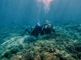 Pemandangan bawah laut Pulau Samalona (Dokumentasi Pribadi)