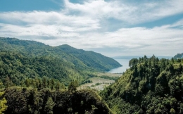Pemandangan hutan di sekitar Danau Toba. Sumber: Ekonomi.bisnis.com