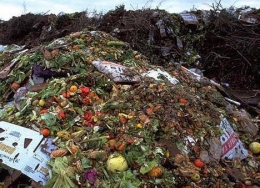 Sampah sisa makanan jika tidak dimanfaatkan akan merusak lingkungan dan kehidupan. dok.standard.co.uk
