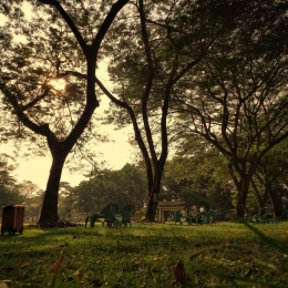 Satu senja di bawah pohon. Foto: Dokumentasi Pribadi Lis Damayanti