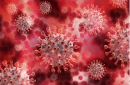  Bermahkota dan sepertinya imut imut, inilah penampakan virus Covid-19(sumber poto:pixabay.com)