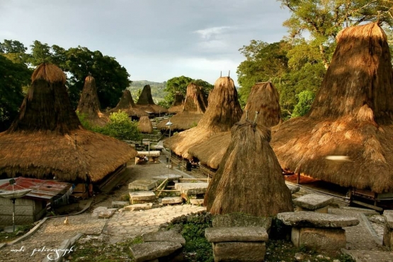 Suasana Kampung Tarung,  Sumba Barat (dokpri)