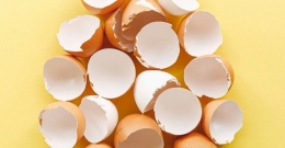 Ilustrasi cangkang telur (sumber gambar: pexels.com)